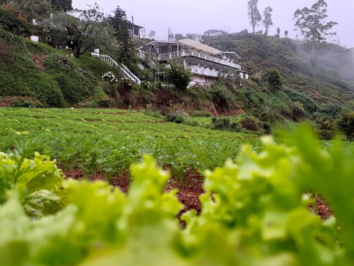 The Farm House Nuwaraeliya Nuwara Eliya Bagian luar foto
