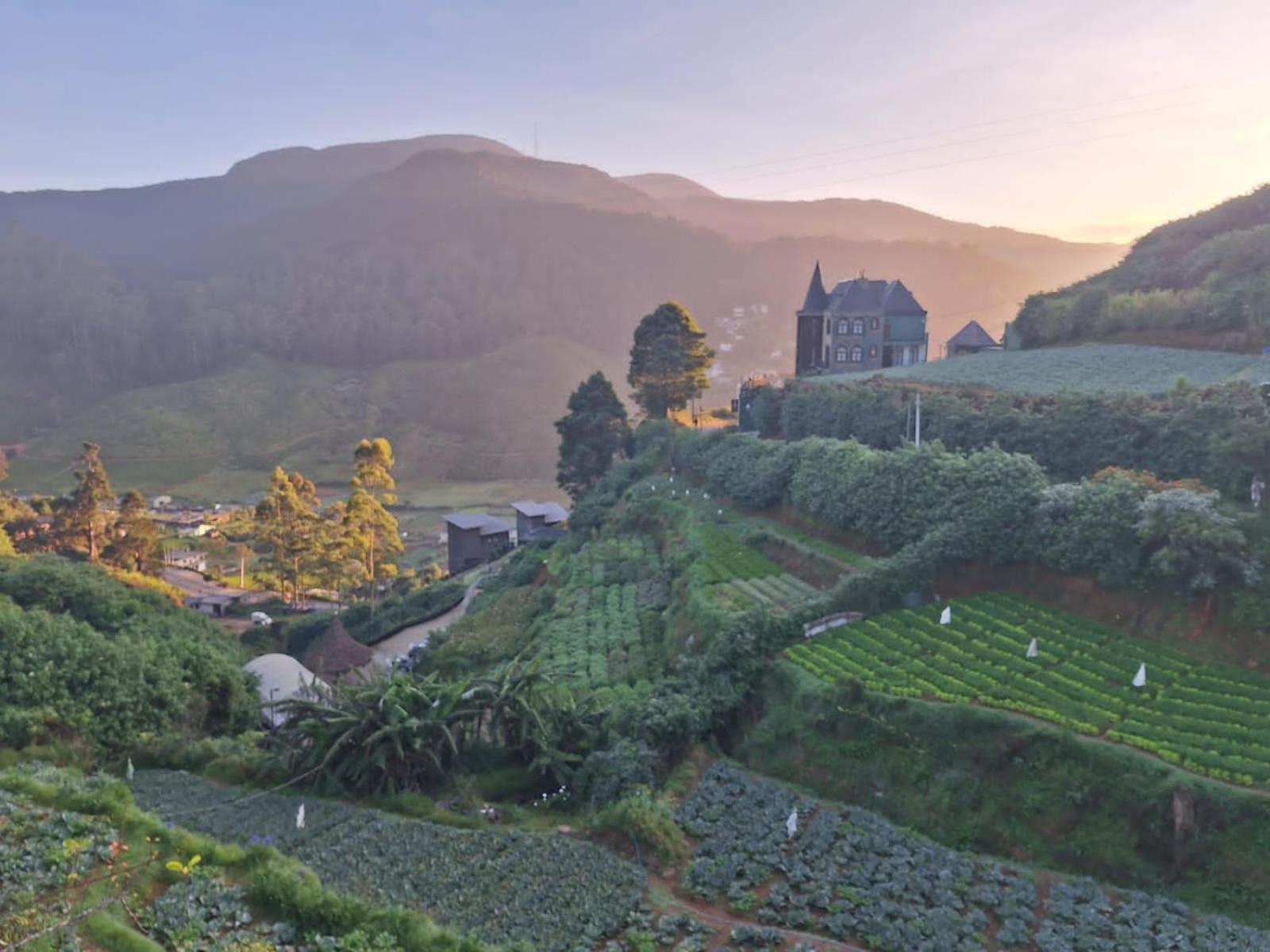 The Farm House Nuwaraeliya Nuwara Eliya Bagian luar foto