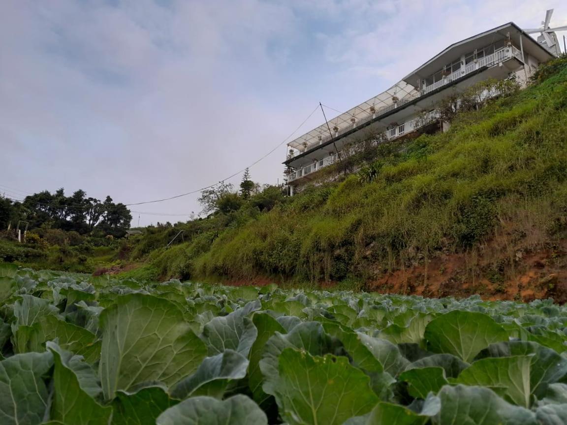 The Farm House Nuwaraeliya Nuwara Eliya Bagian luar foto